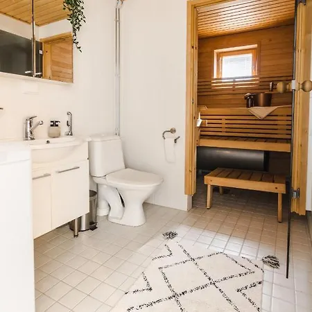 In Lapland - Levistar Ii 312 * Levi