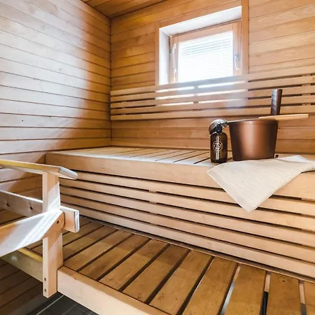 In Lapland - Levistar Ii 312 *