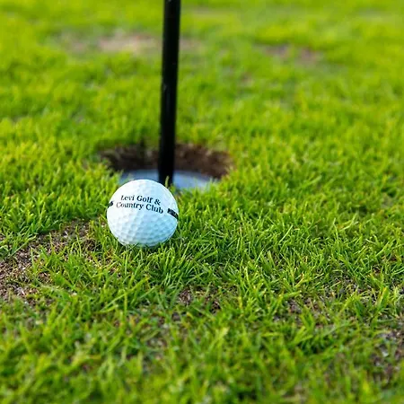 Apartment In Lapland - Levistar Ii 312 *