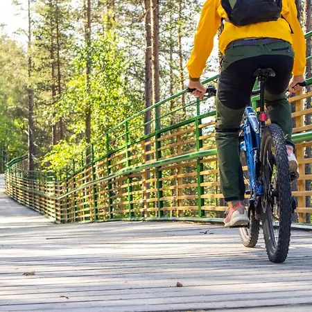 In Lapland - Levistar Ii 312 Levi