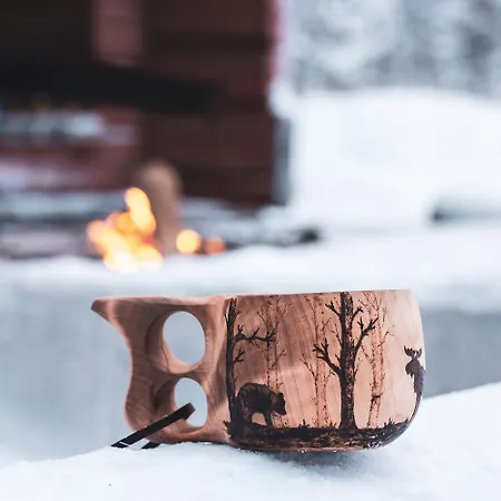 In Lapland - Levistar Ii 312 Apartment