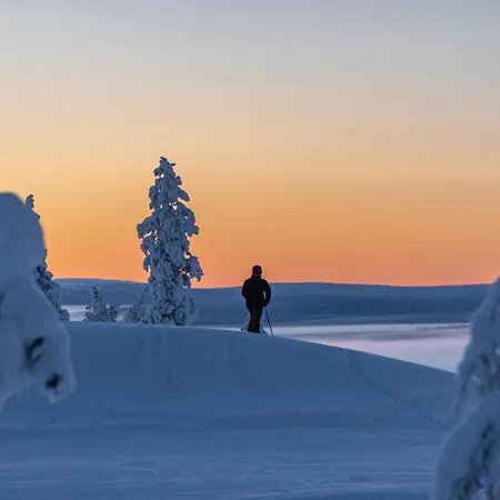 In Lapland - Levistar Ii 312 *