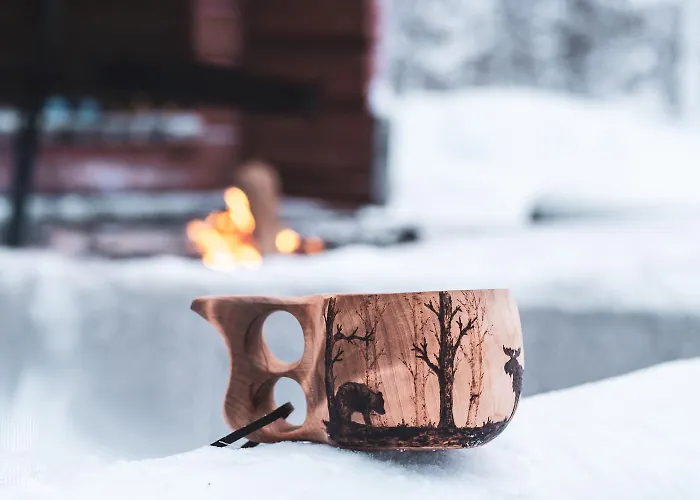 In Lapland - Levistar Ii 312 Daire