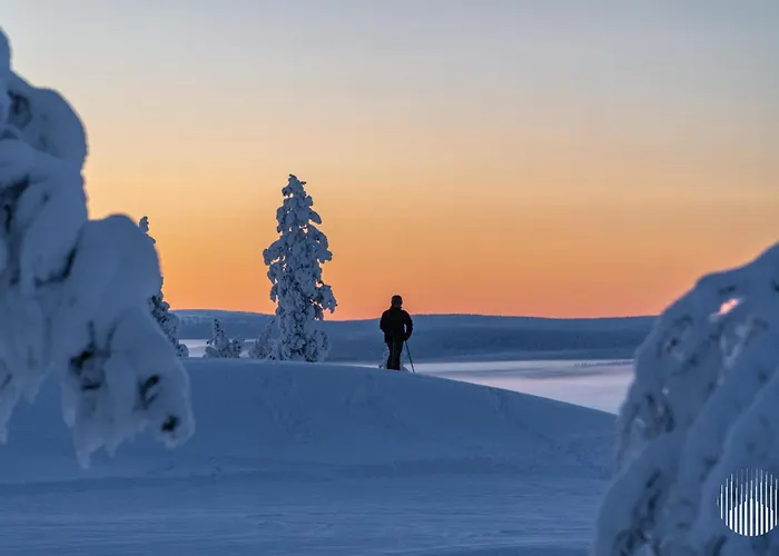 In Lapland - Levistar Ii 312 *